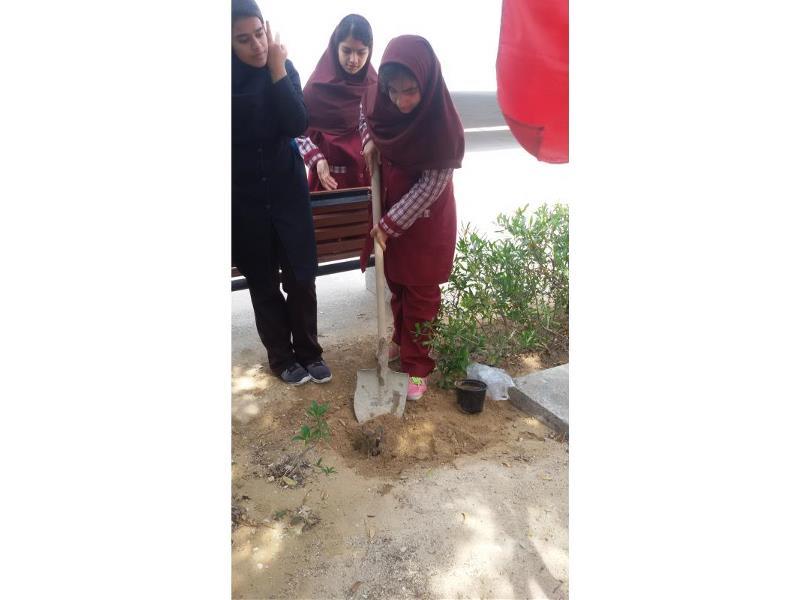 دوره اول - درخت و درختکاری